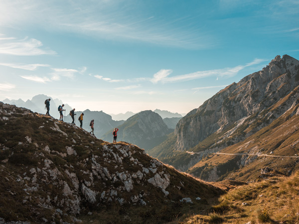 With backpacks and hiking poles, diverse friends trek together on a sunny day, embracing the joy of hiking in the mountains.