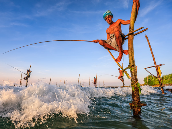 A traditional stilt fisherman in Colombo, Sri Lanka