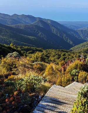 AllTrails reveals 25 must-hike trails for 2025