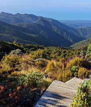 AllTrails reveals 25 must-hike trails for 2025