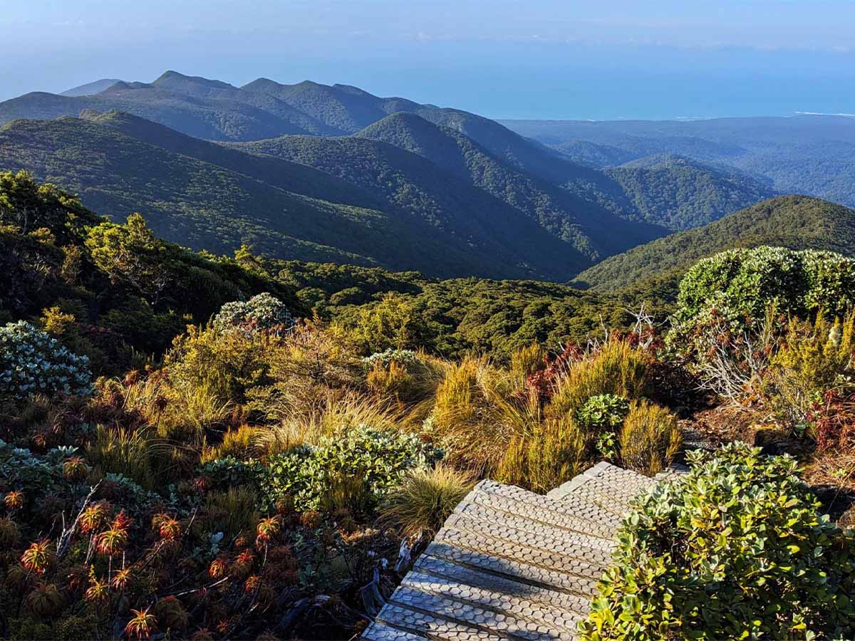 hero media