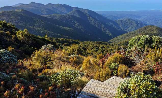 AllTrails reveals 25 must-hike trails for 2025