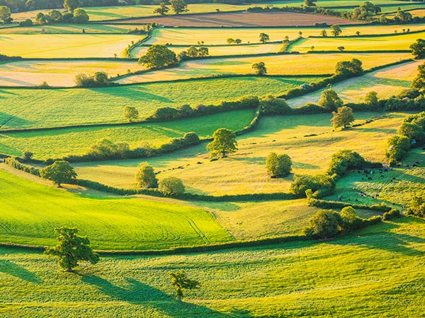 Visiting West Country before turning 40