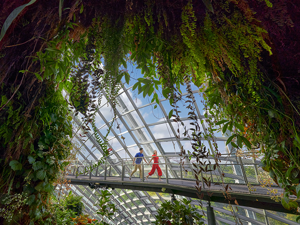 The Cloud Forest in Gardens by the Bay, Singapore.