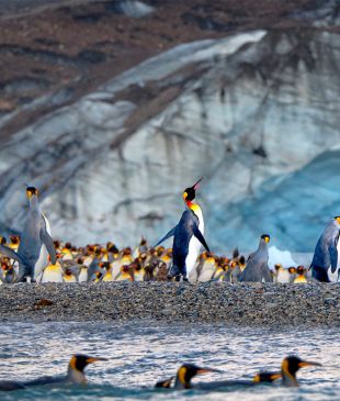 These are the expedition cruises you absolutely can’t miss this year