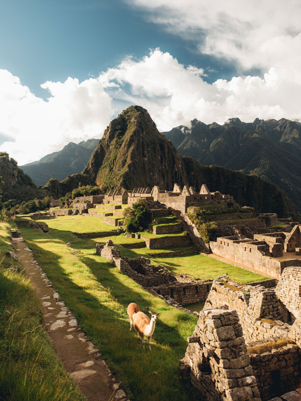 a scenic view of Machu Picchu citadel ruins Peru