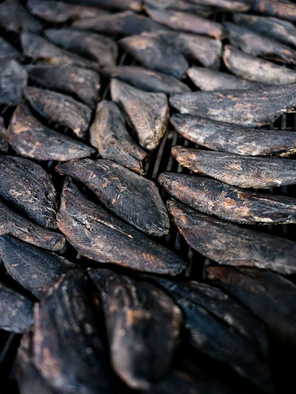 dried bonito in Japan