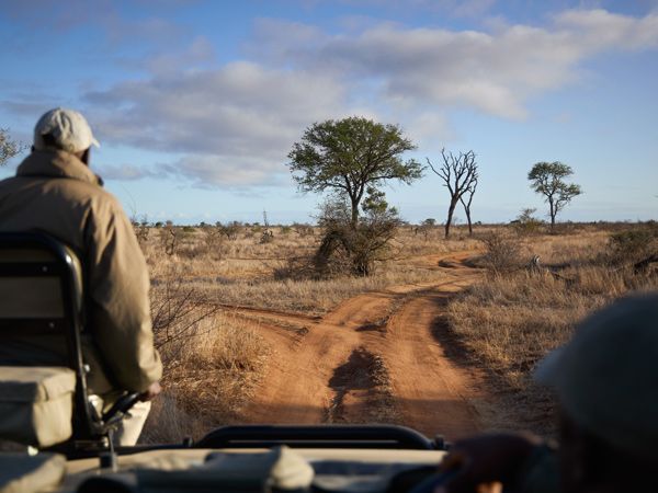 the game drive experience at andBeyond’s Ngala Tented Camp