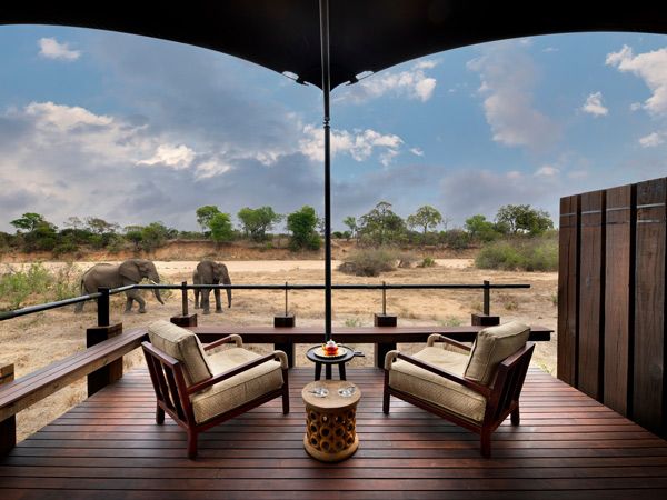elephants grazing outside andBeyond Ngala Tented Camp wellness spa