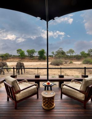 elephants grazing outside andBeyond Ngala Tented Camp wellness spa