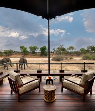 Ngala Tented Camp: where Africa’s wild side meets untamed luxury