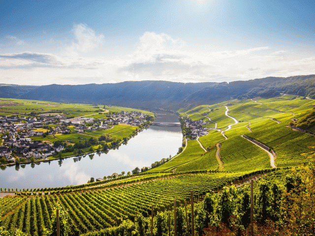 river cruise the rhine