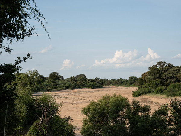 the private game reserve, Timbavati River landscape, Ngala, South Africa