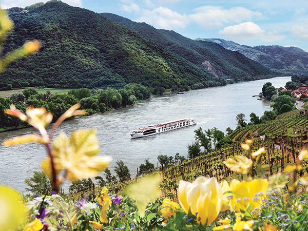 cruises in Danube river