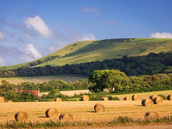 English countryside