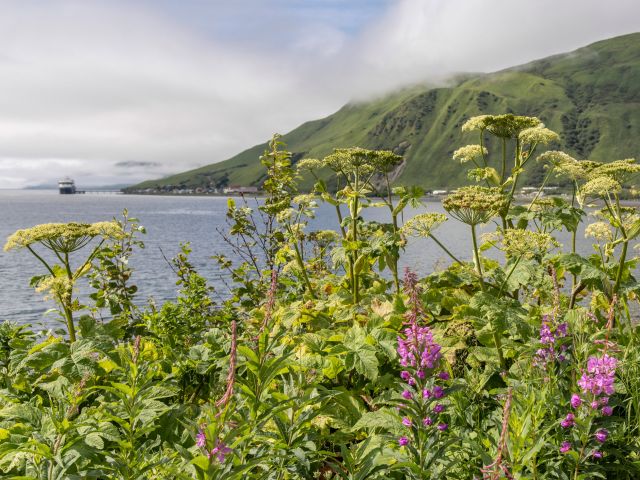Alaska’s Old Harbor with HX Expeditions