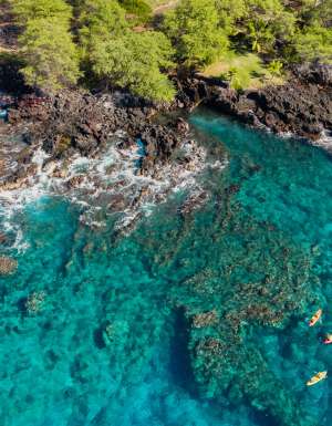 The expedition cruises you can’t miss in 2027 and beyond