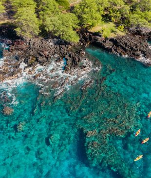 <p>The <em>expedition cruises you can’t miss</em> in 2027 and beyond</p>