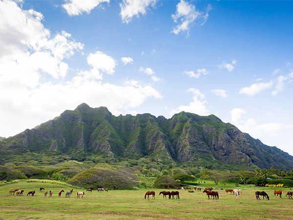 Kualoa Park