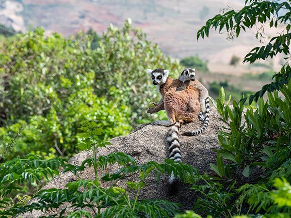 Madagascar