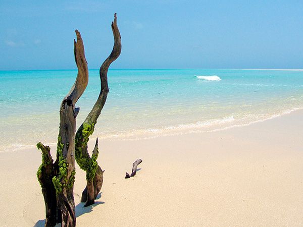 Medjumbe Island