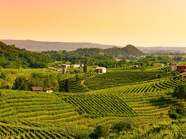 Prosecco Valley