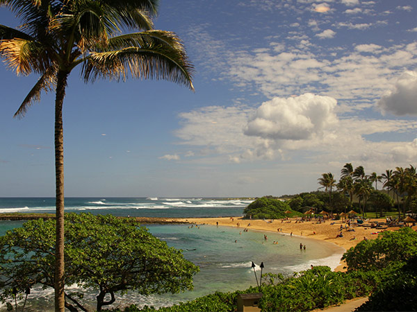 Turtle Bay resort in Hawaii