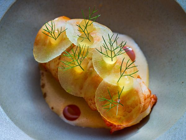 Elegantly plated New Zealand produce cuisine at Huka Lodge Taupo showing a four course dinner dish with local ingredients on fine china