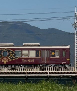 This ryokan-inspired train in Japan only costs $4.50 to ride