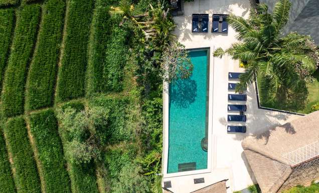 aerial view of PurePods Villa Kubu Dewi Sri