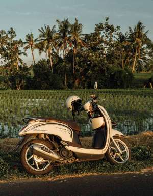 Crackdowns are coming for Bali’s top tourist activity