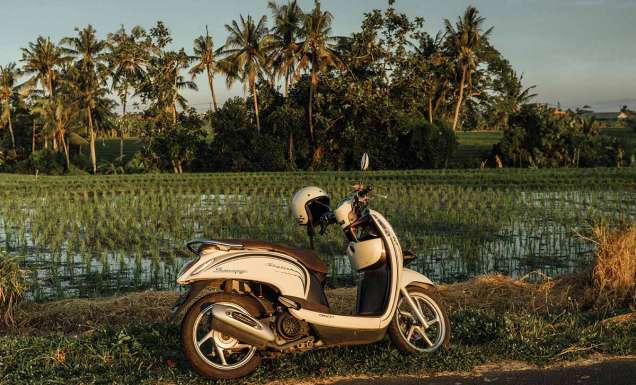 Crackdowns are coming for Bali’s top tourist activity