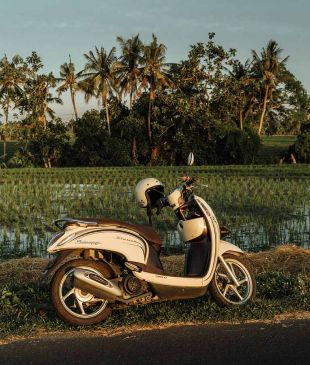 Crackdowns are coming for Bali’s top tourist activity