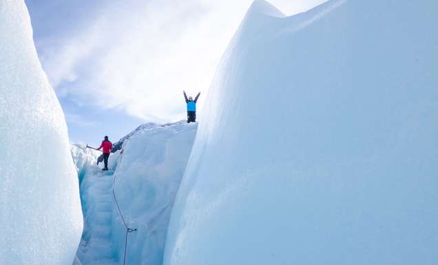 hikers at the top of Fox Glacier, west coast new zealand