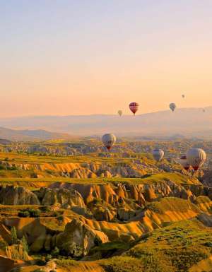 turkey
