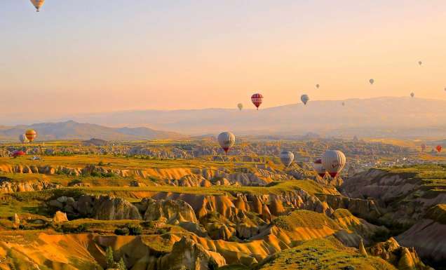 turkey