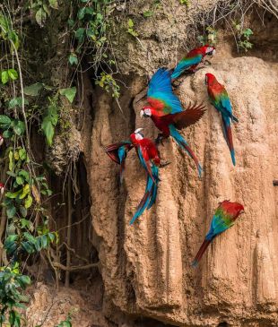 8 grand journeys across Latin America
