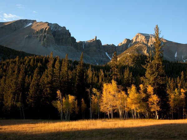 Great Basin National Park in Nevada, USA