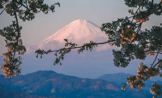 Mt Fuji in Japan