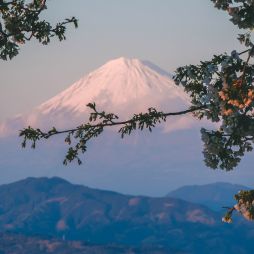 Mt Fuji in Japan