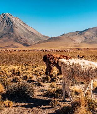 Australians can now travel to this South American country without a visa