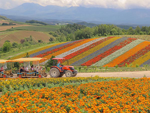 tractor ride through japan's wild flowers