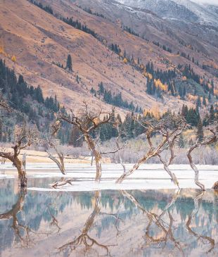 <p><strong>China</strong>: <i>8 experiences to escape the city</i> and dive into nature</p>