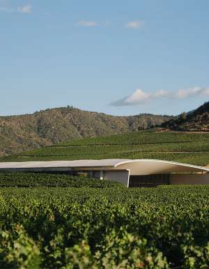 worlds 50 best vineyards