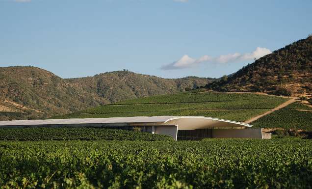 worlds 50 best vineyards