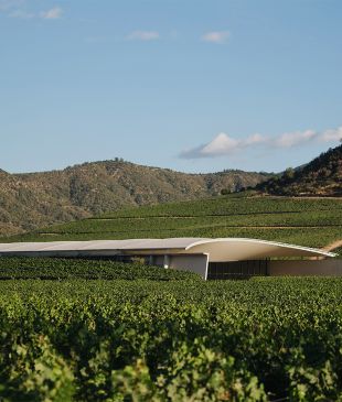 Revealed: The World’s 50 Best Vineyards for 2025