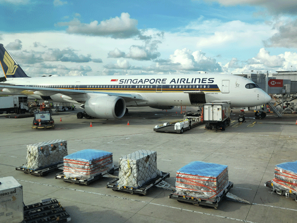 singapore airlines