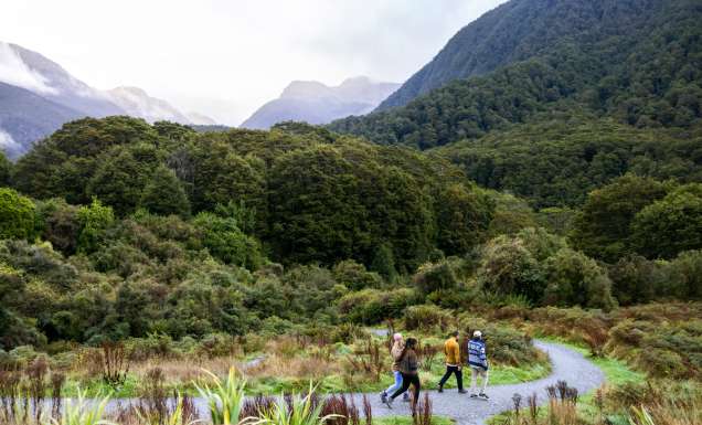 Hikers in Wanaka Otago on The Blue Pools Track