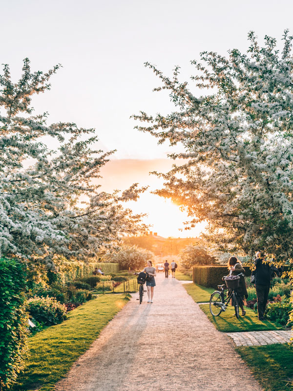 King’s Garden, Copenhagen