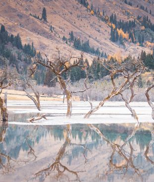 <p><strong>China </strong>in winter: <i>8 experiences to escape the city</i> and dive into nature</p>
